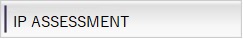 IP ASSESSMENT