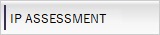IP ASSESSMENT